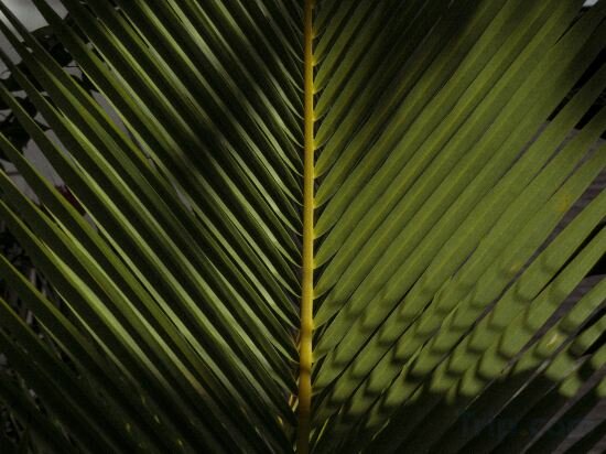 Фото Manta Reserve