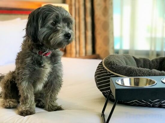 Фото View Melbourne