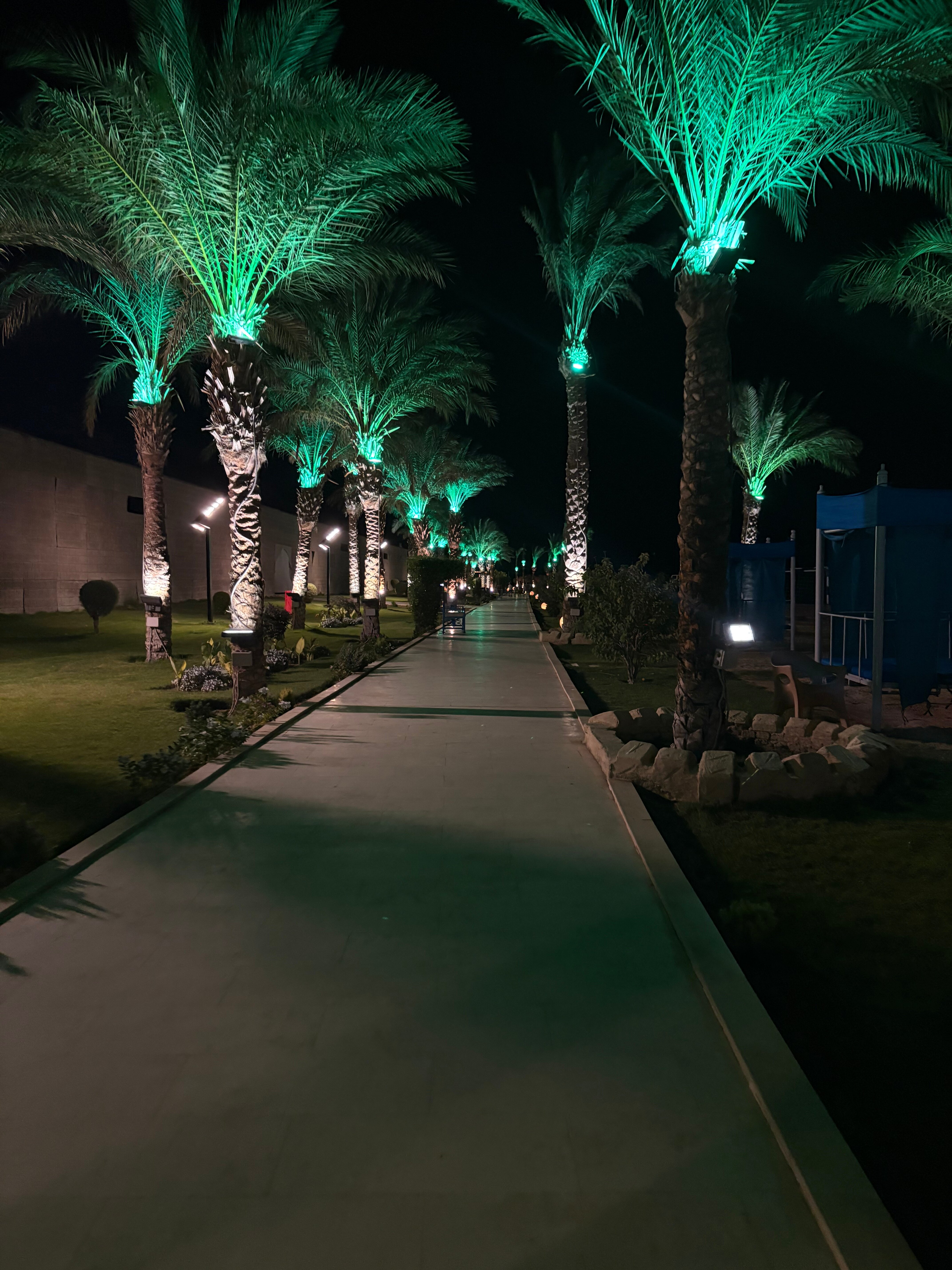 Фото Gravity Hotel & Aqua Park Hurghada