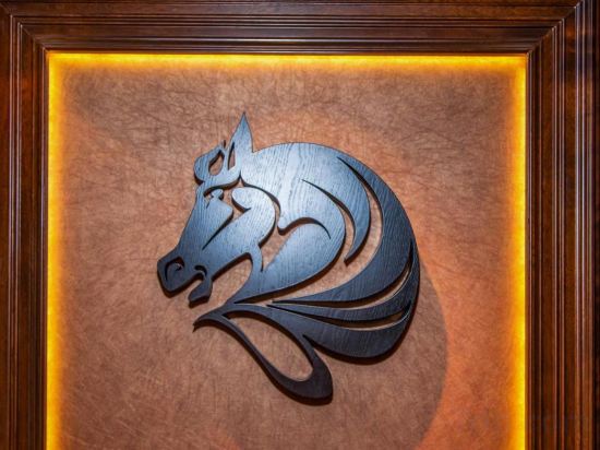 Фото Drake Longchamp