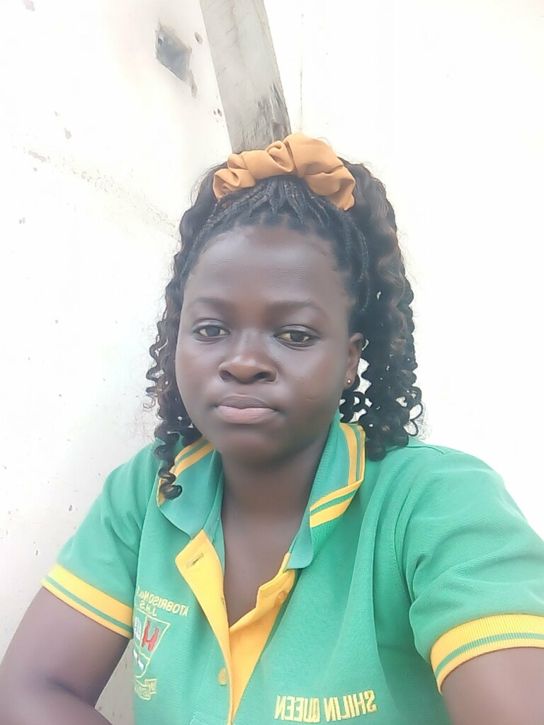 Hotel Mpamprom Guest House, Earth, photo