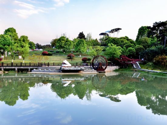 Фото Melia Chongqing