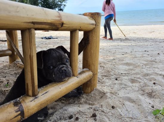 Фото Sichon Hideaway