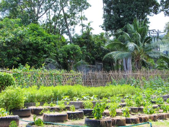 Фото The Fair House Beach Resort & Hotel