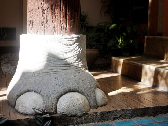 Фото Changmoi House