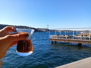 Kucuksu Kasri Cafeteria (İstanbul, Beykoz, Göksu Mah., Küçüksu Cad., 12), cafe