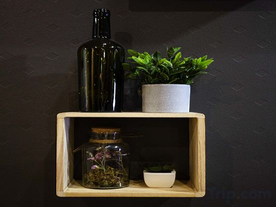 Фото Ibis Bordeaux Pessac Route des Vins Hotel