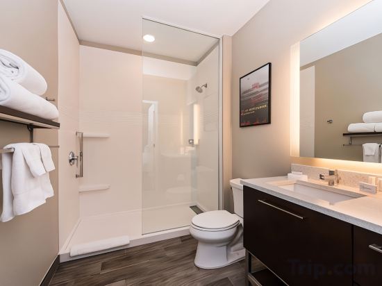 Фото TownePlace Suites by Marriott New York Long Island City/Manhattan View