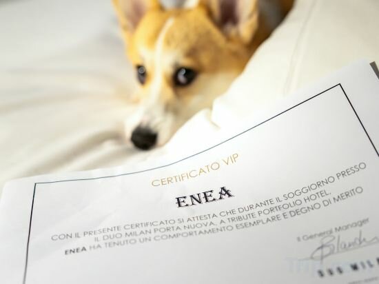 Фото Duo Milan Porta Nuova A Tribute Portfolio Hotel 