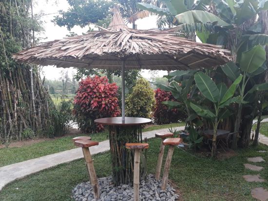 Фото La Terrazza