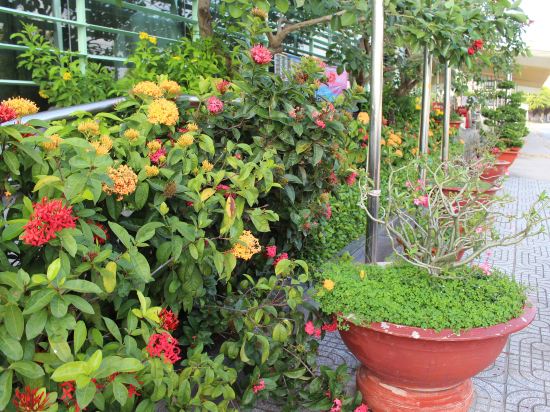 Фото River Hotel