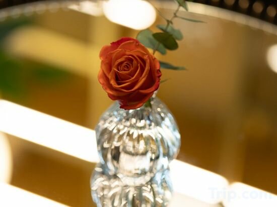 Фото Maison Roma Piazza di Spagna UNA Esperienze