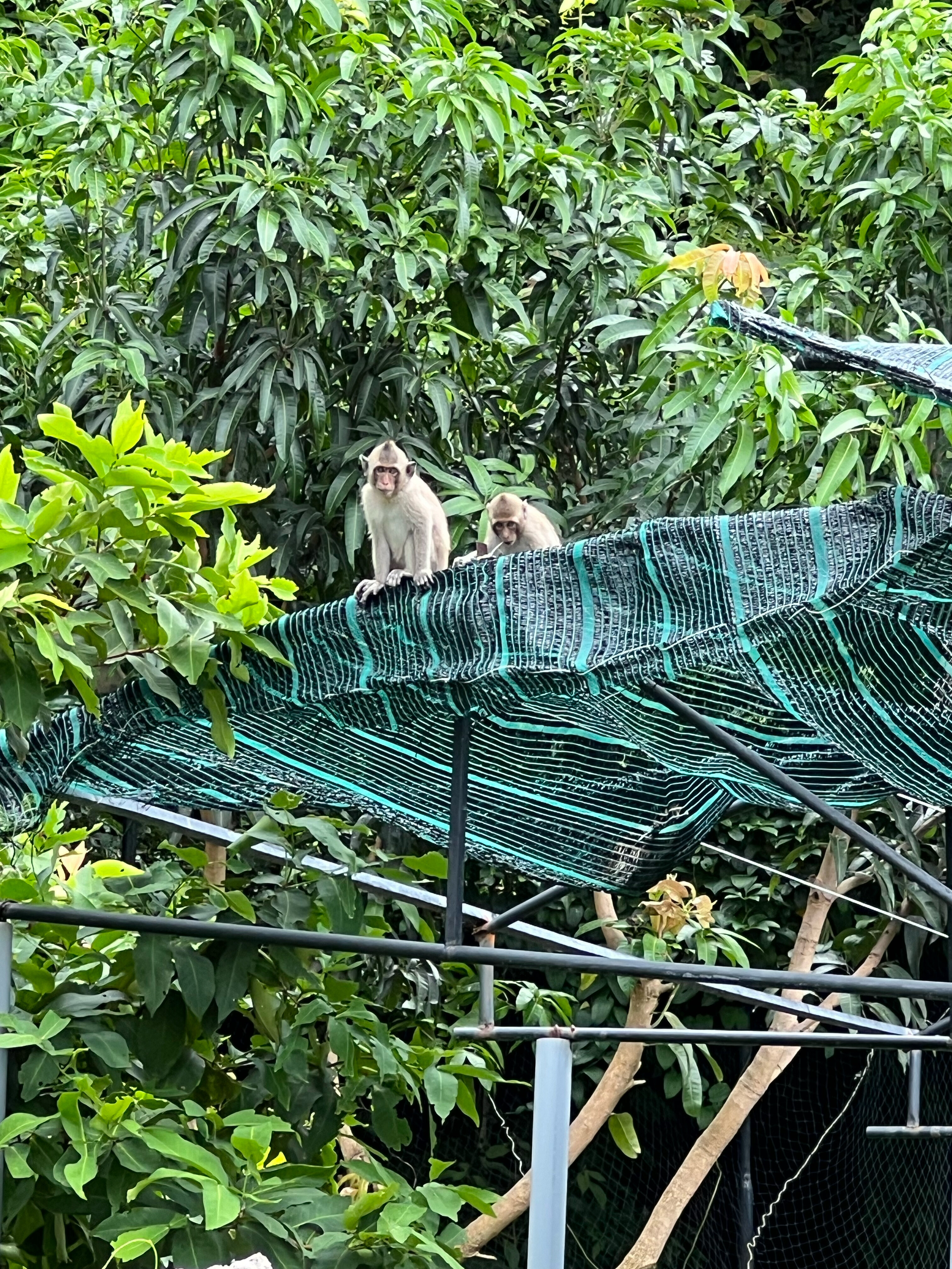 Фото Premier Village Phu Quoc Resort - Managed by Accor