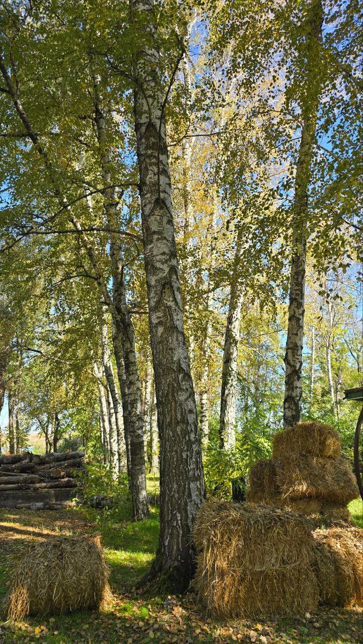 Фото Карасёвка