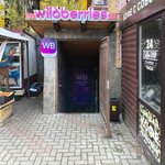 Wildberries (posyolok Putyovka, ulitsa Stroiteley, 9А), point of delivery