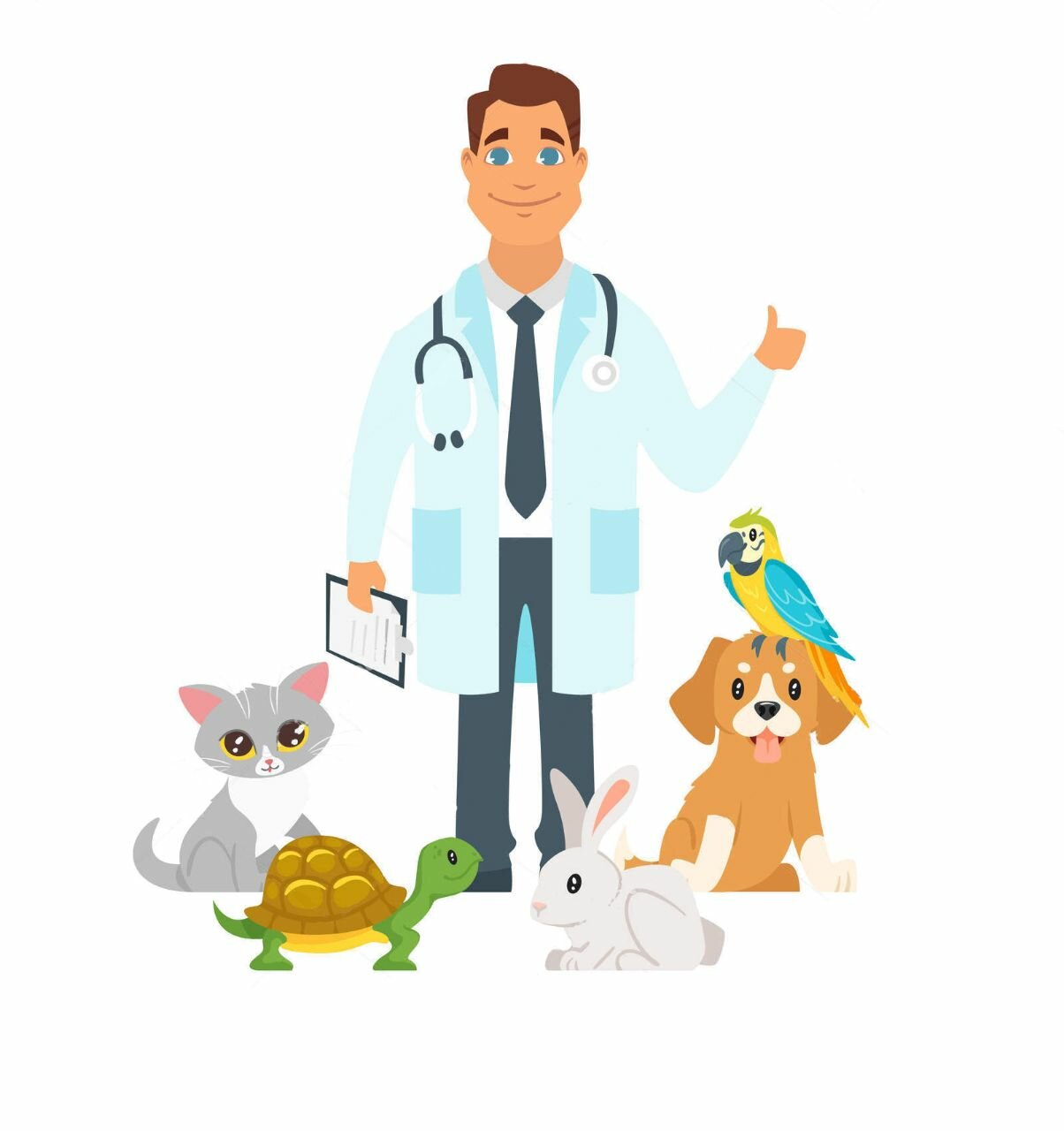 Ветеринар картинка для презентации