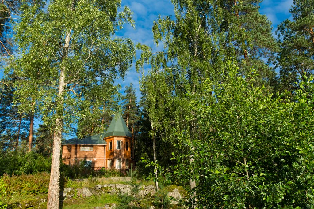 Фото Лесная сказка