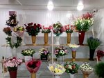 Tsvetochny ray (Sysolskoe Highway, 13/7), flowers and bouquets delivery
