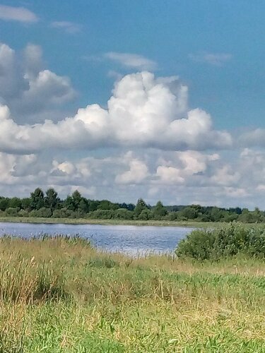 Турбаза Рыбхоз Мотово