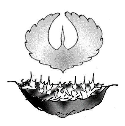 МУДО Волжский экологический центр, филиал