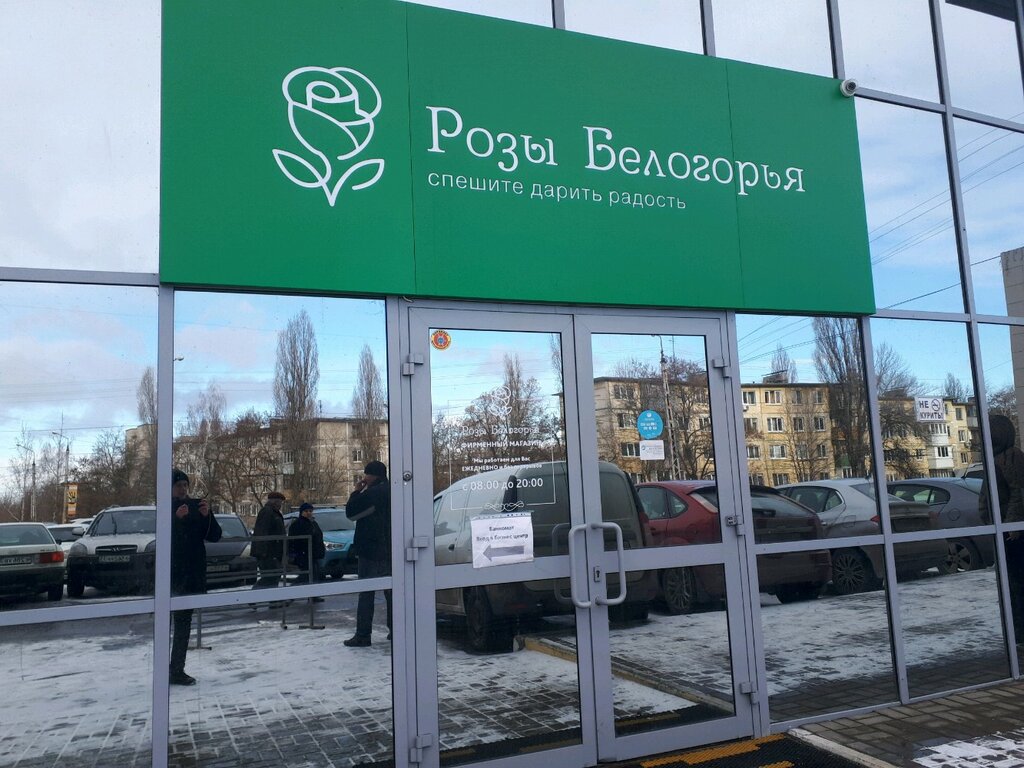 Розы белогорья рабочая ул 14 белгород фото