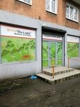 Pchelka (Leninskiy Avenue, 44), fundación benéfica