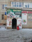 Magnit (11th microdistrict, 52) ، محل بقالة