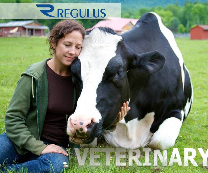 Veterinary pharmacy Regulus Armenia, Yerevan, photo