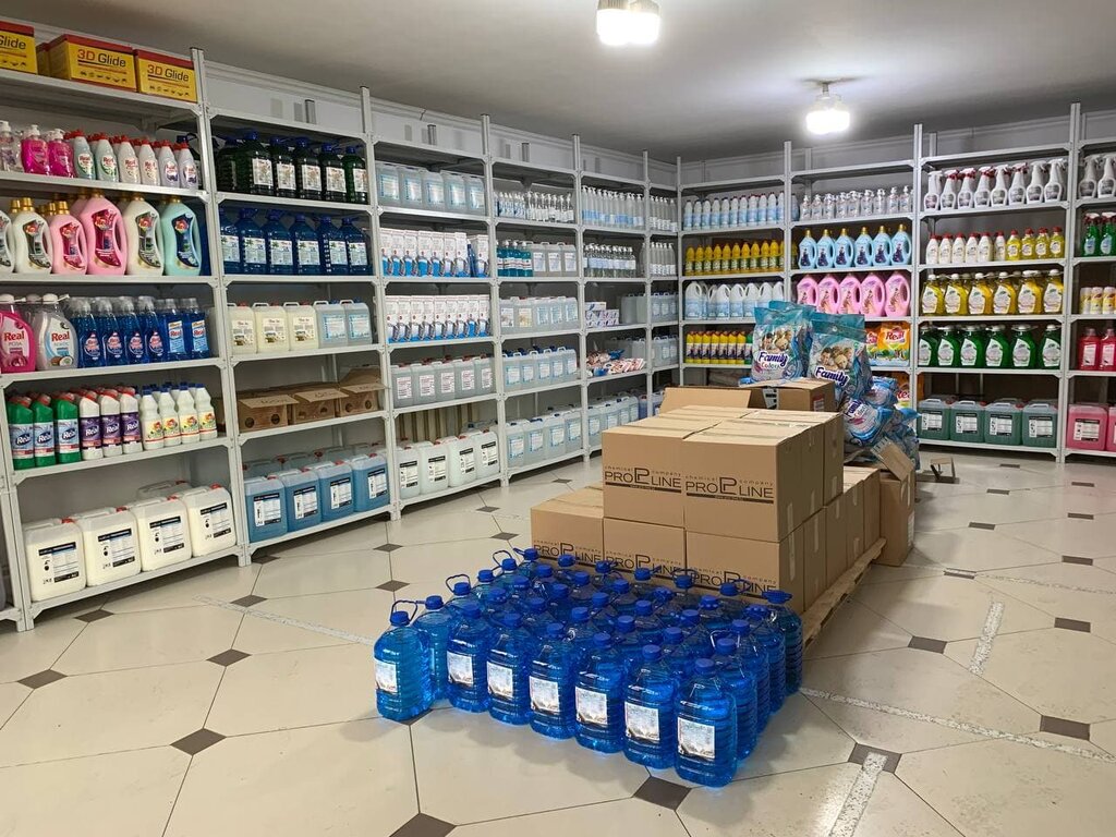 Household goods and chemicals shop Pro-line, Almaty, photo