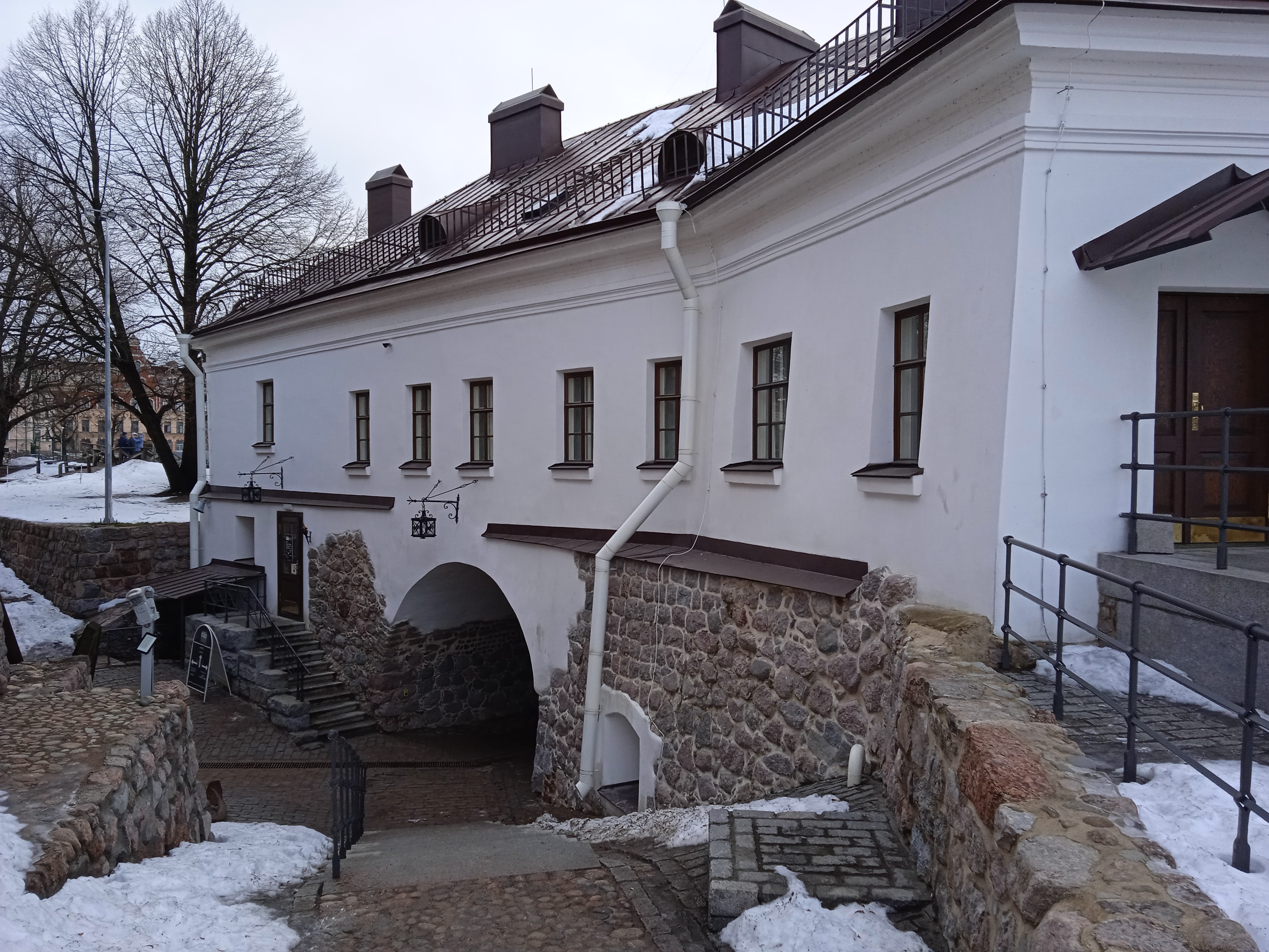 Фото Летучая мышь