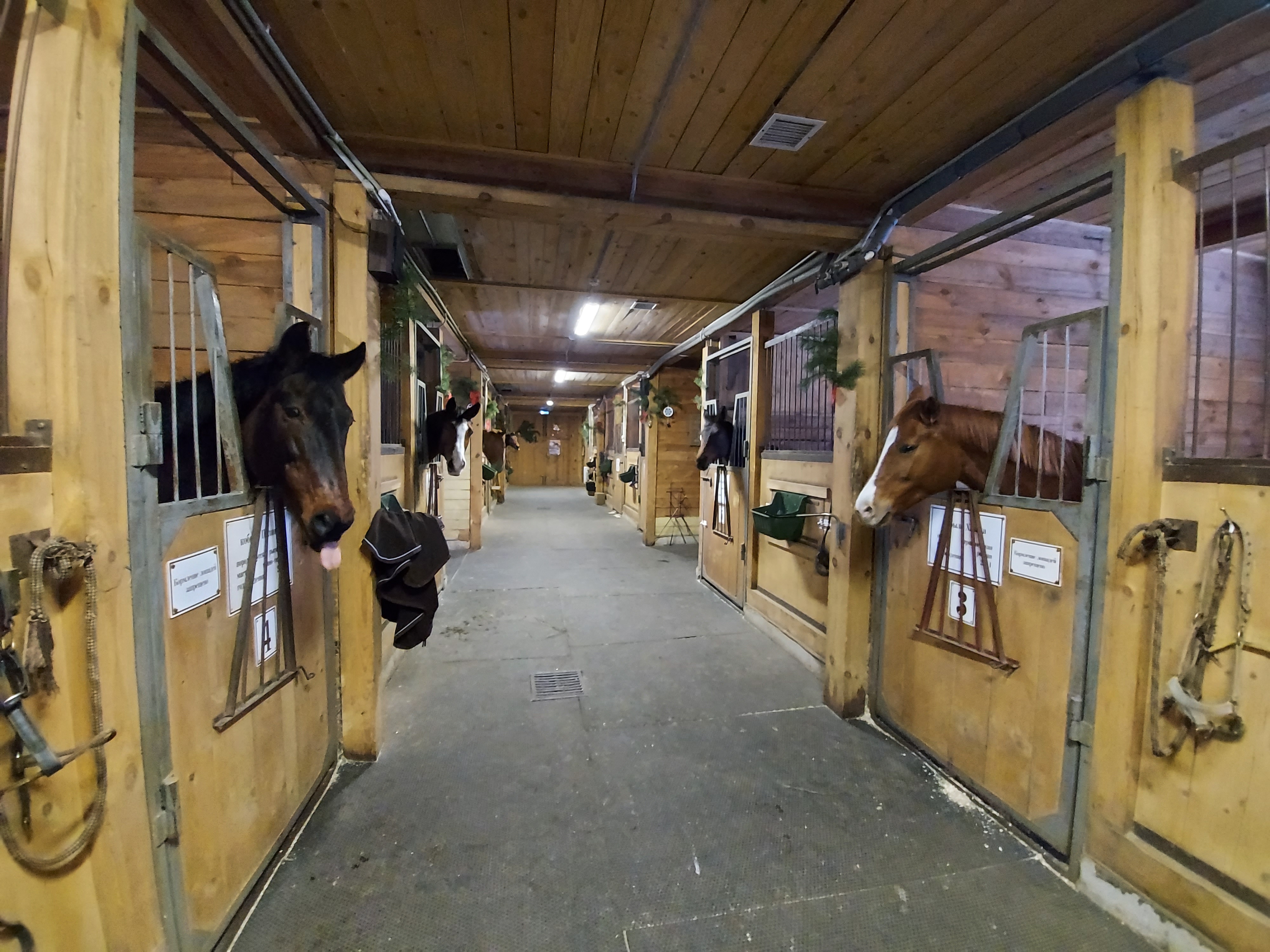 Фото Конный Двор