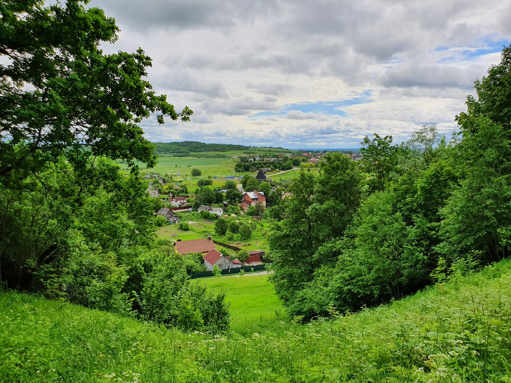 Горная вершина Ореховая, Красное Село, фото