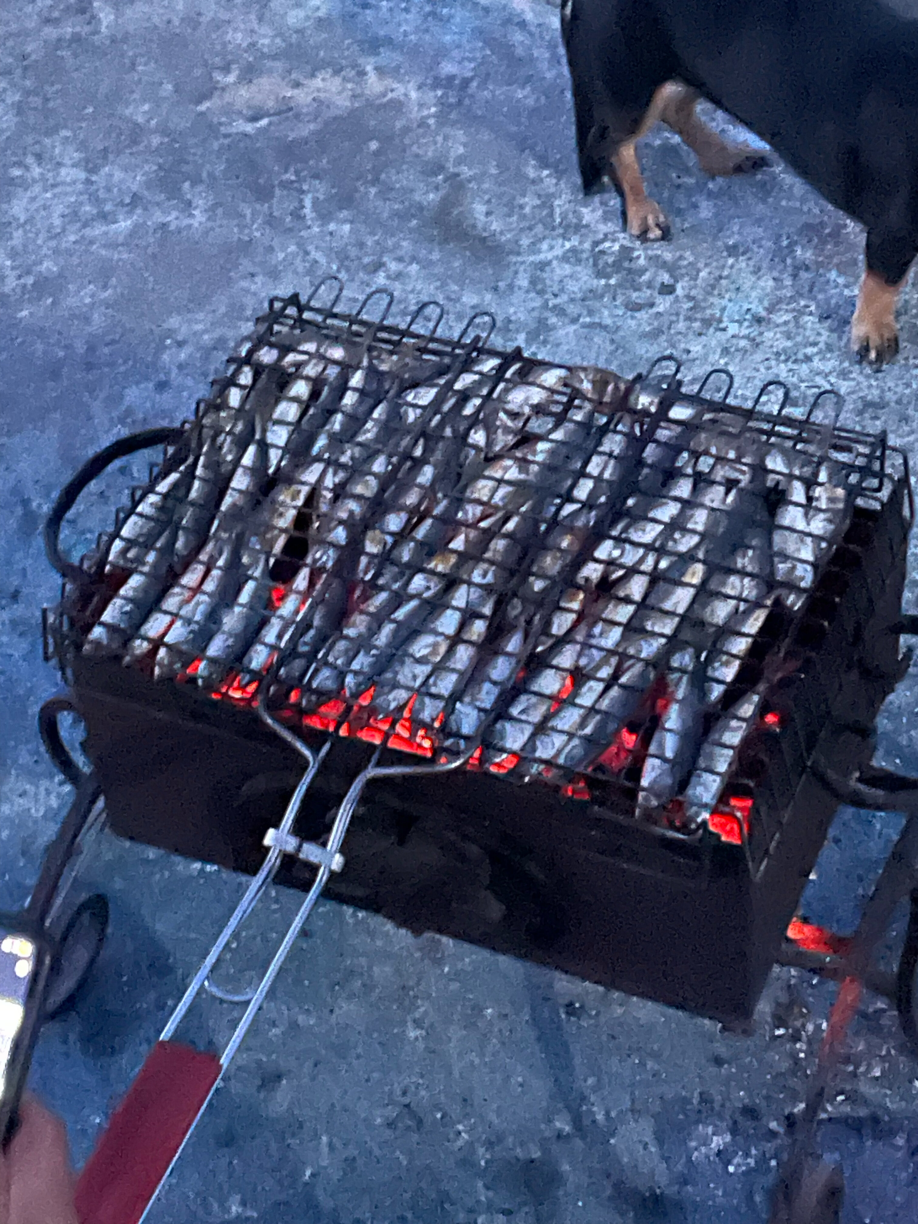 Фото Дольче-маре