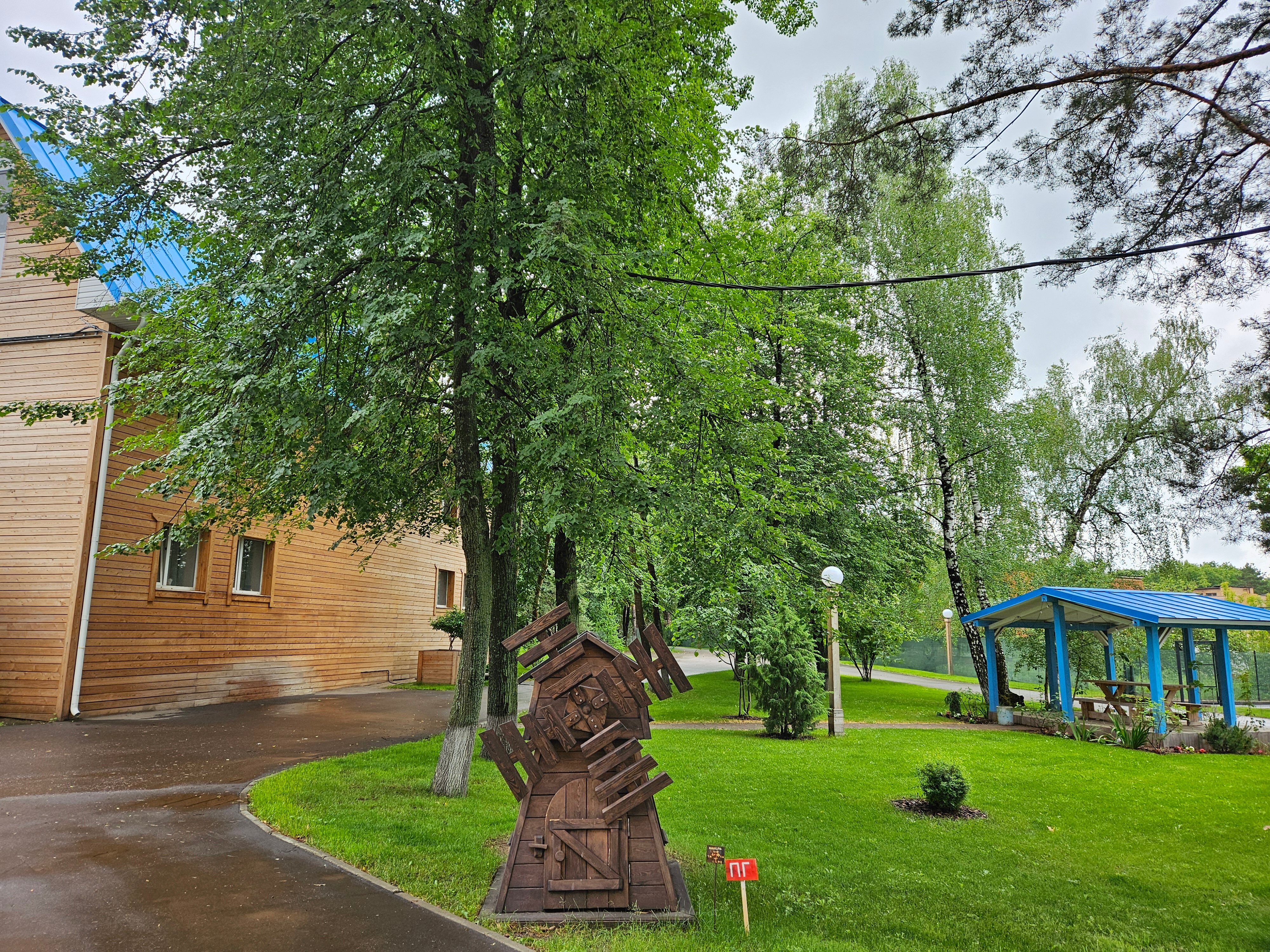 Фото Лесная опушка