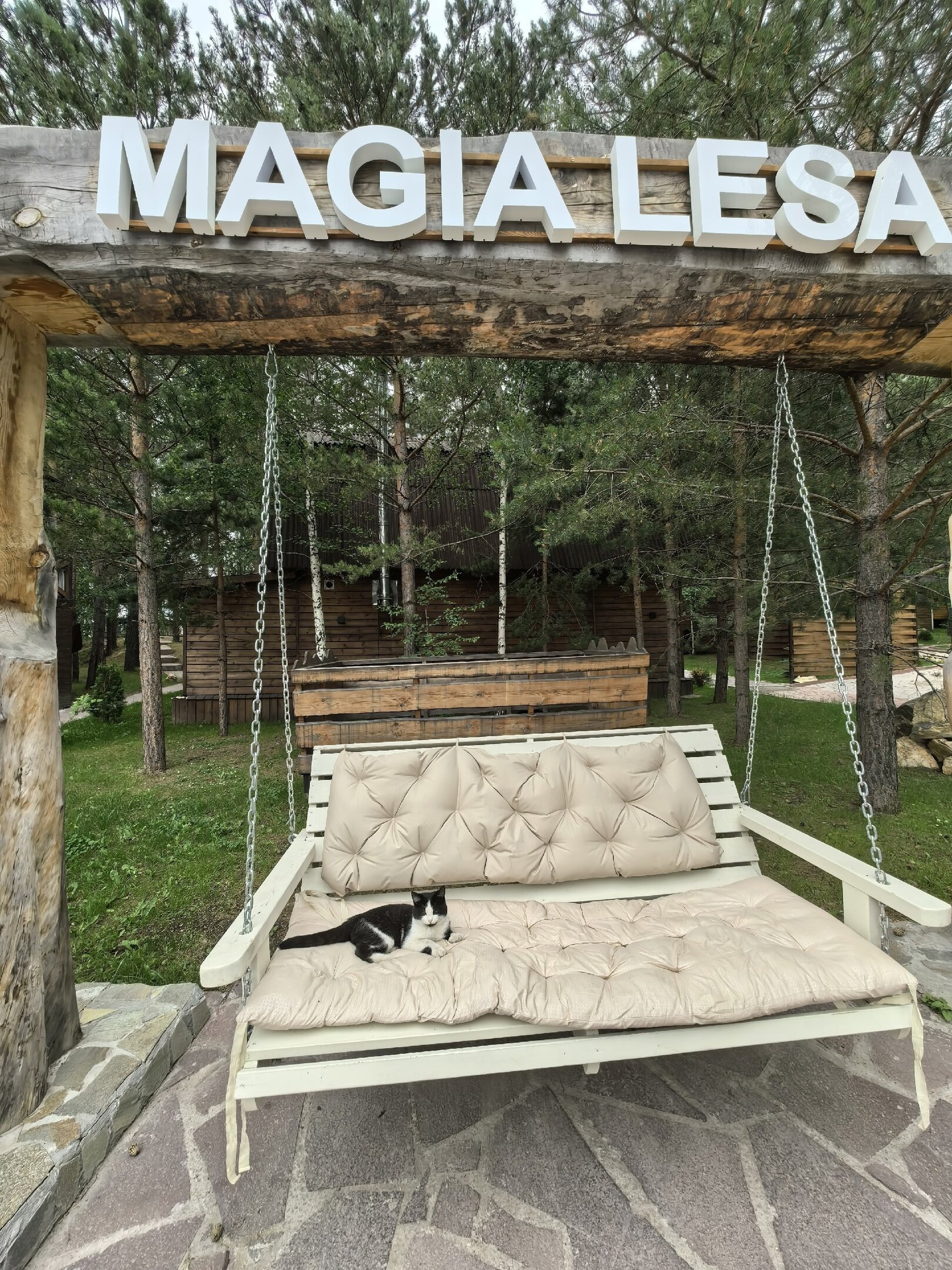 Фото Магия леса