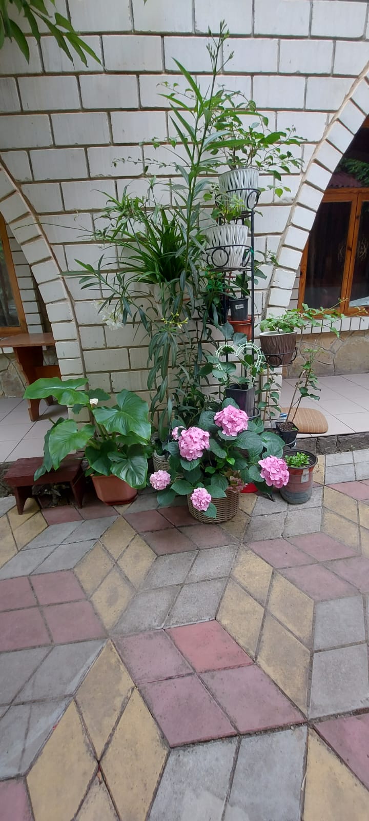 Фото Идиллия