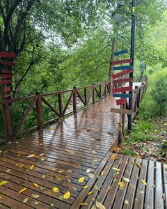 Tonya Paradise Garden (Trabzon, Tonya, Kaleönü Mah., Canik Sok.), cafe