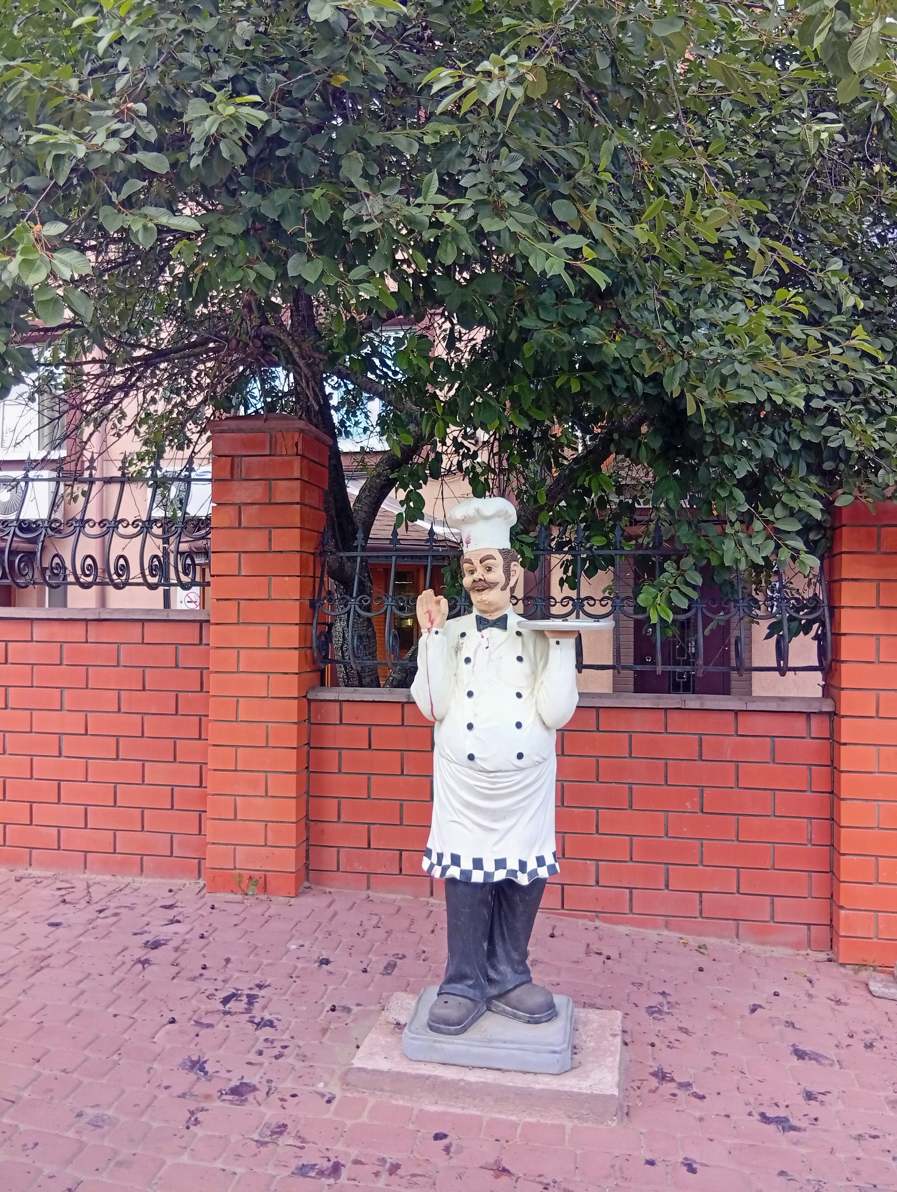 Фото Европейский