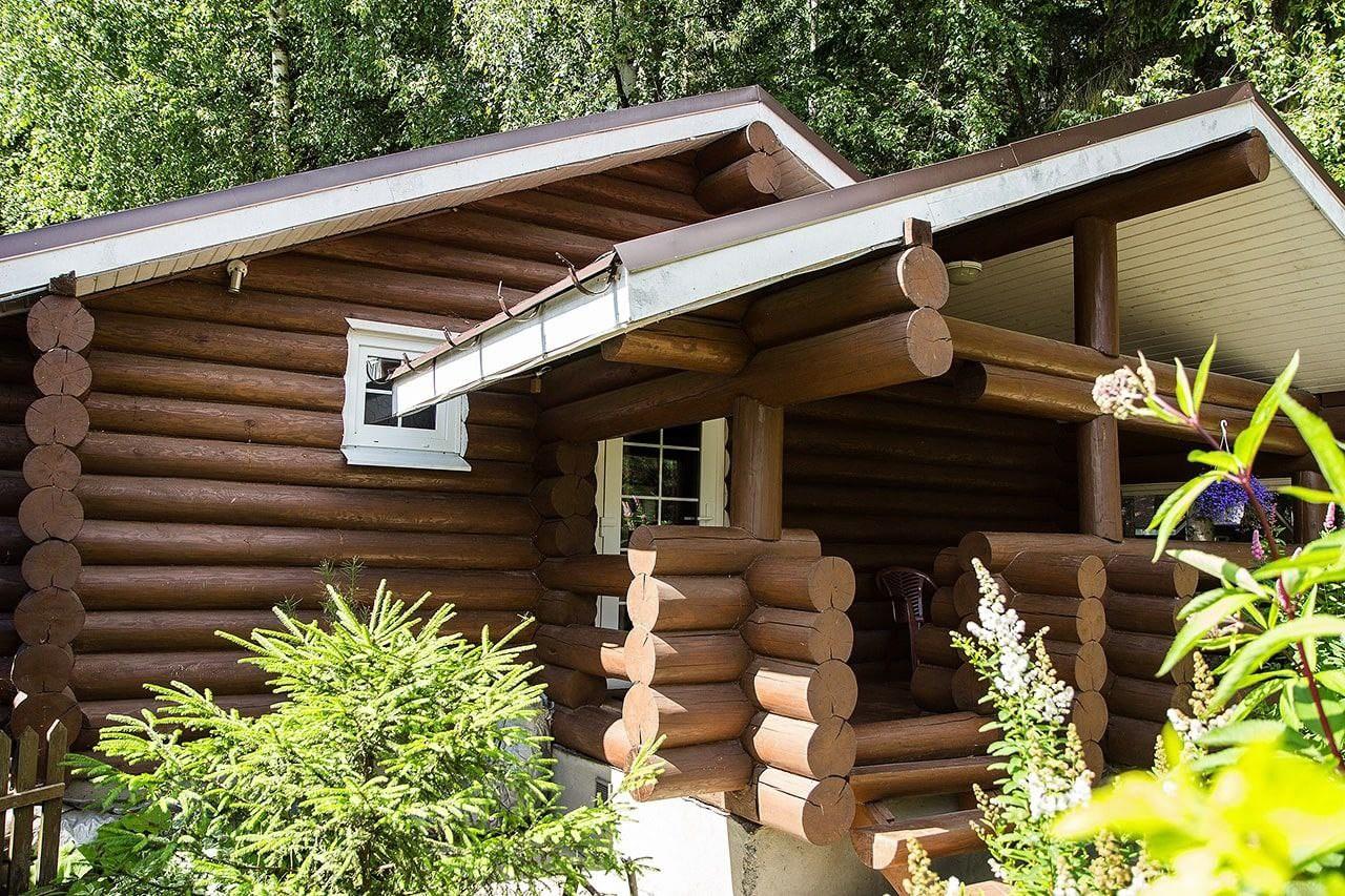 Фото Green forest