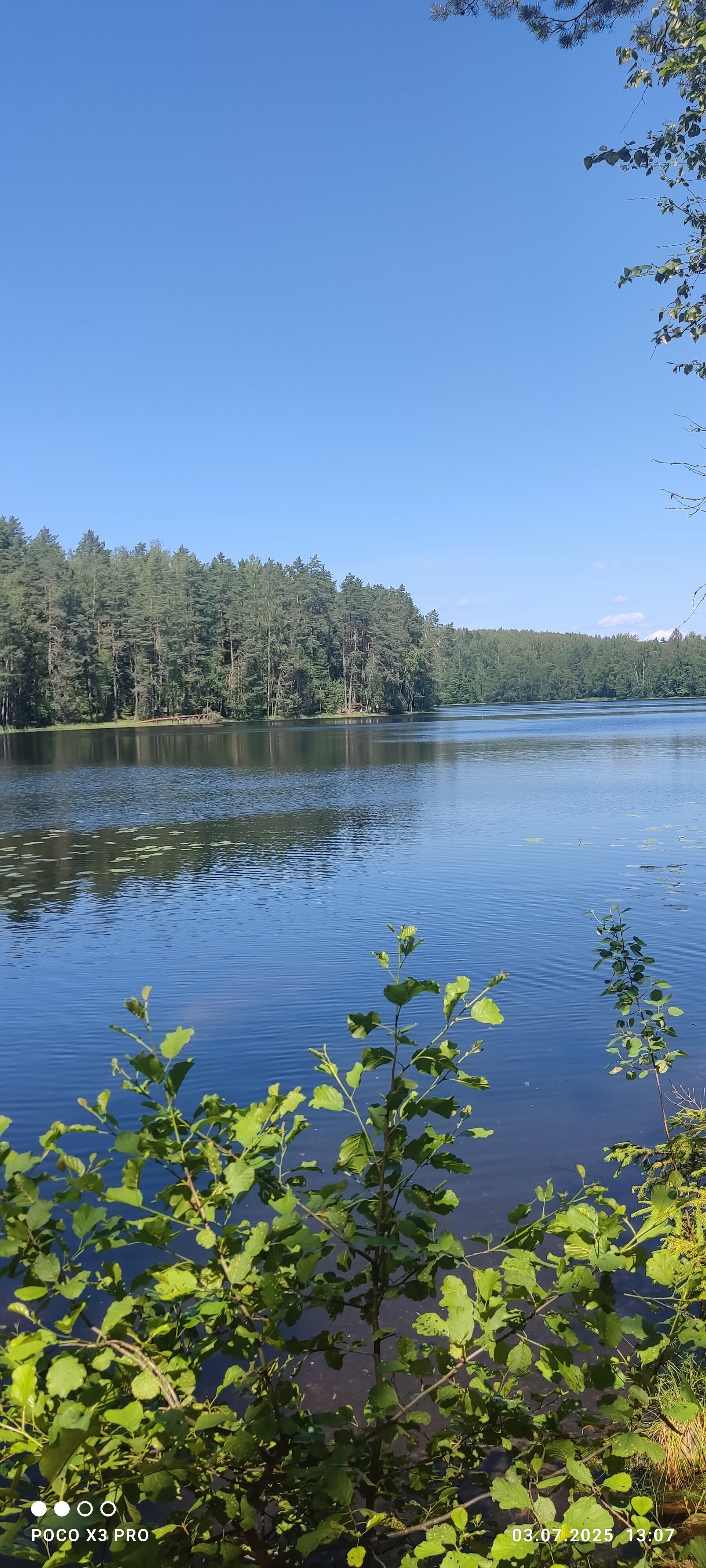 Фото Любовь