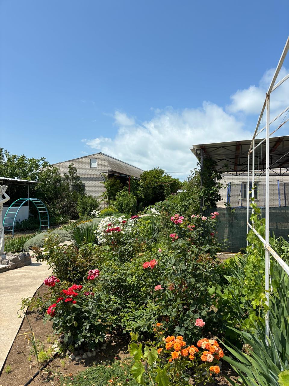 Фото Два якоря