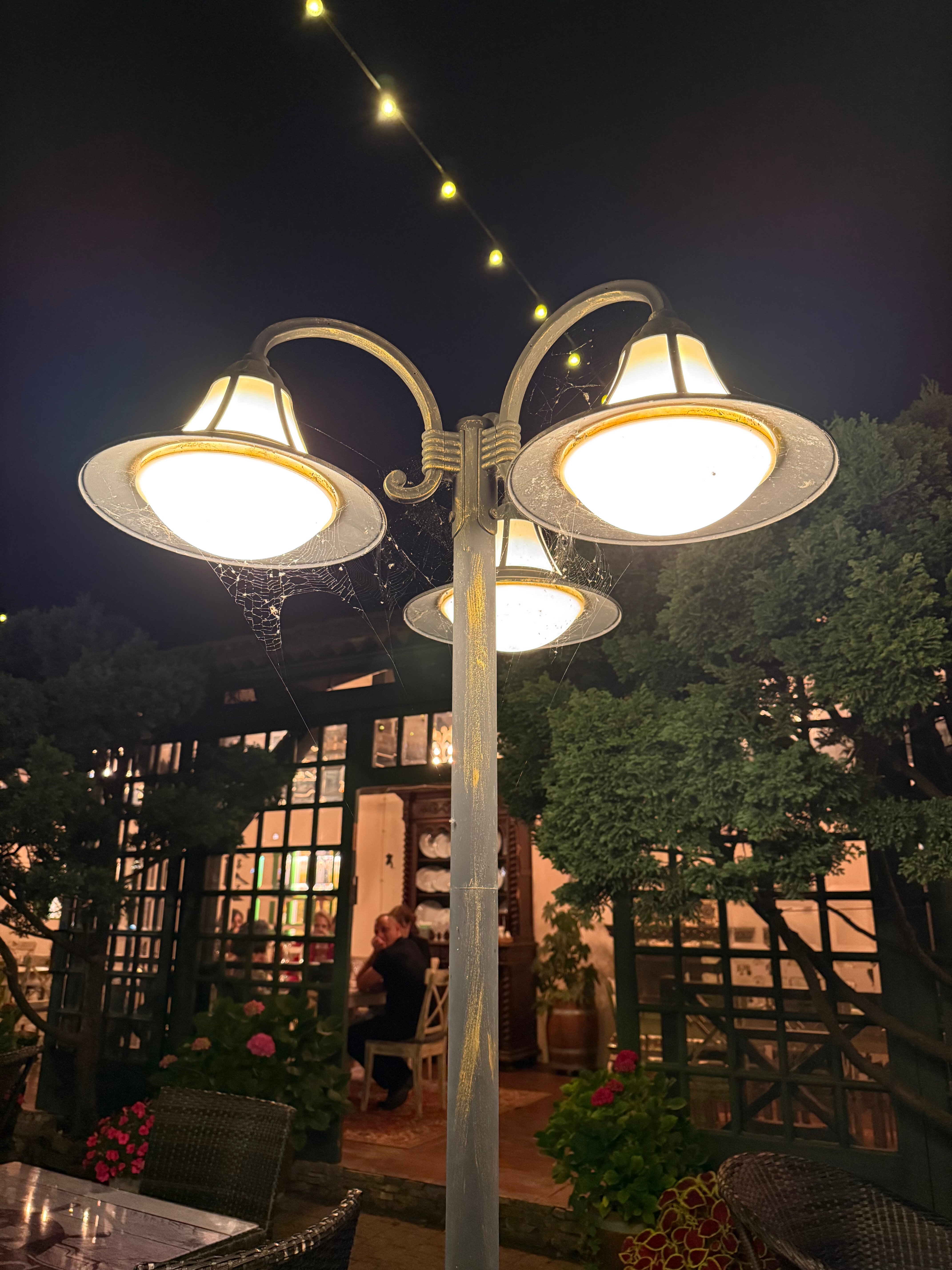 Фото Тортуга