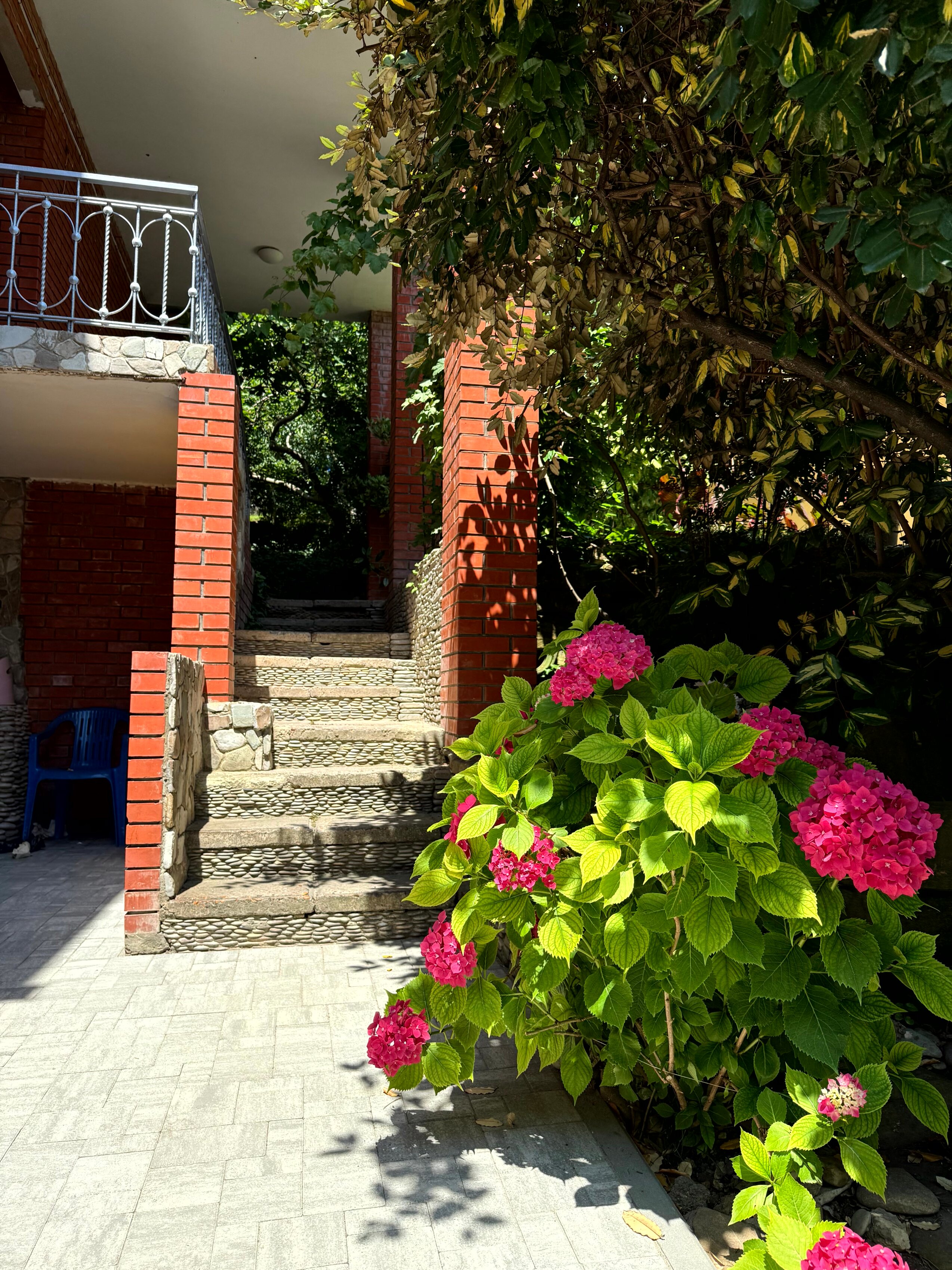 Фото Золотая рыбка