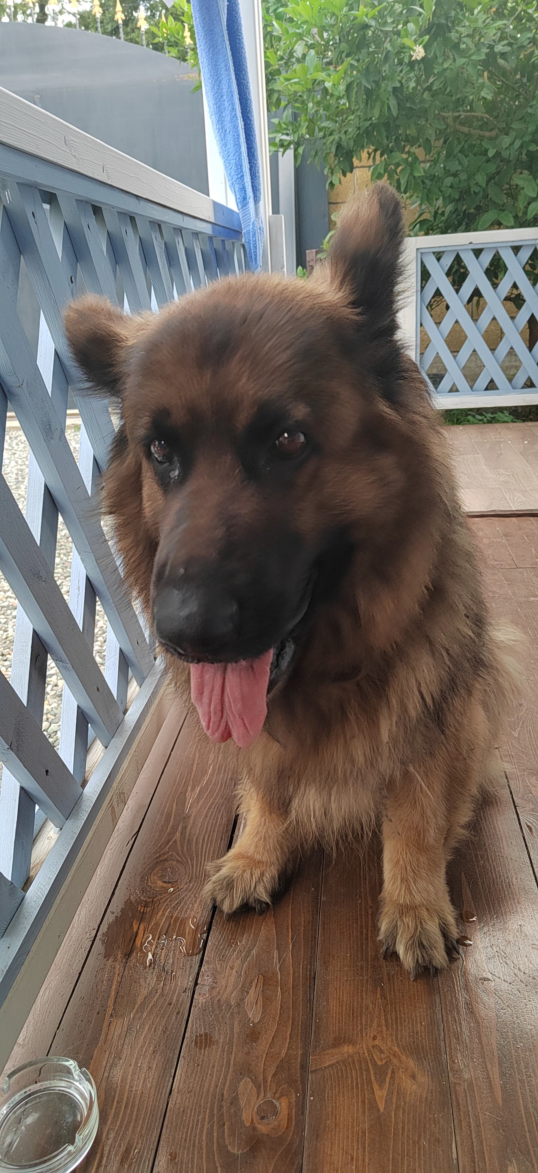 Фото Абазгия