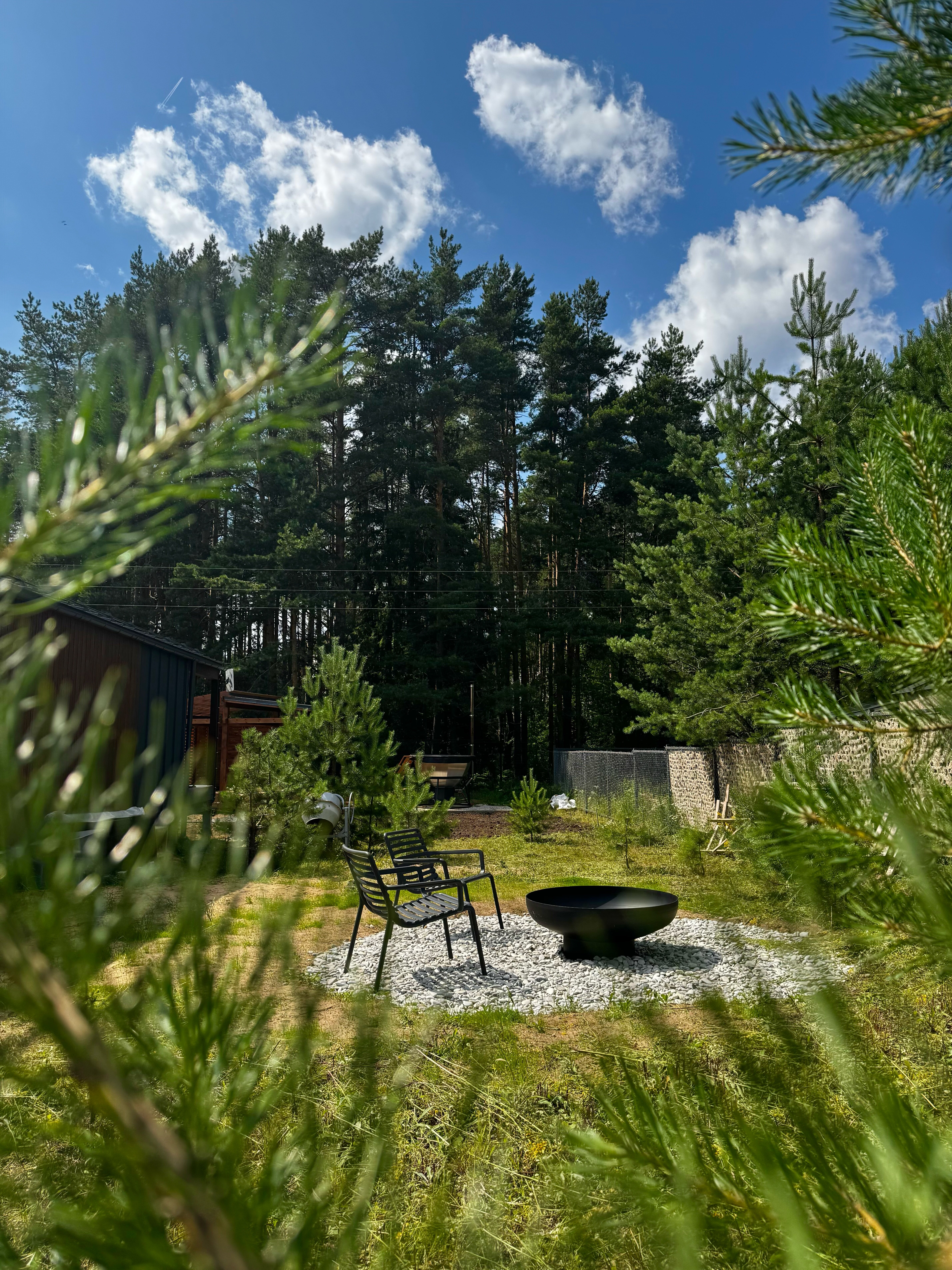 Фото Листья