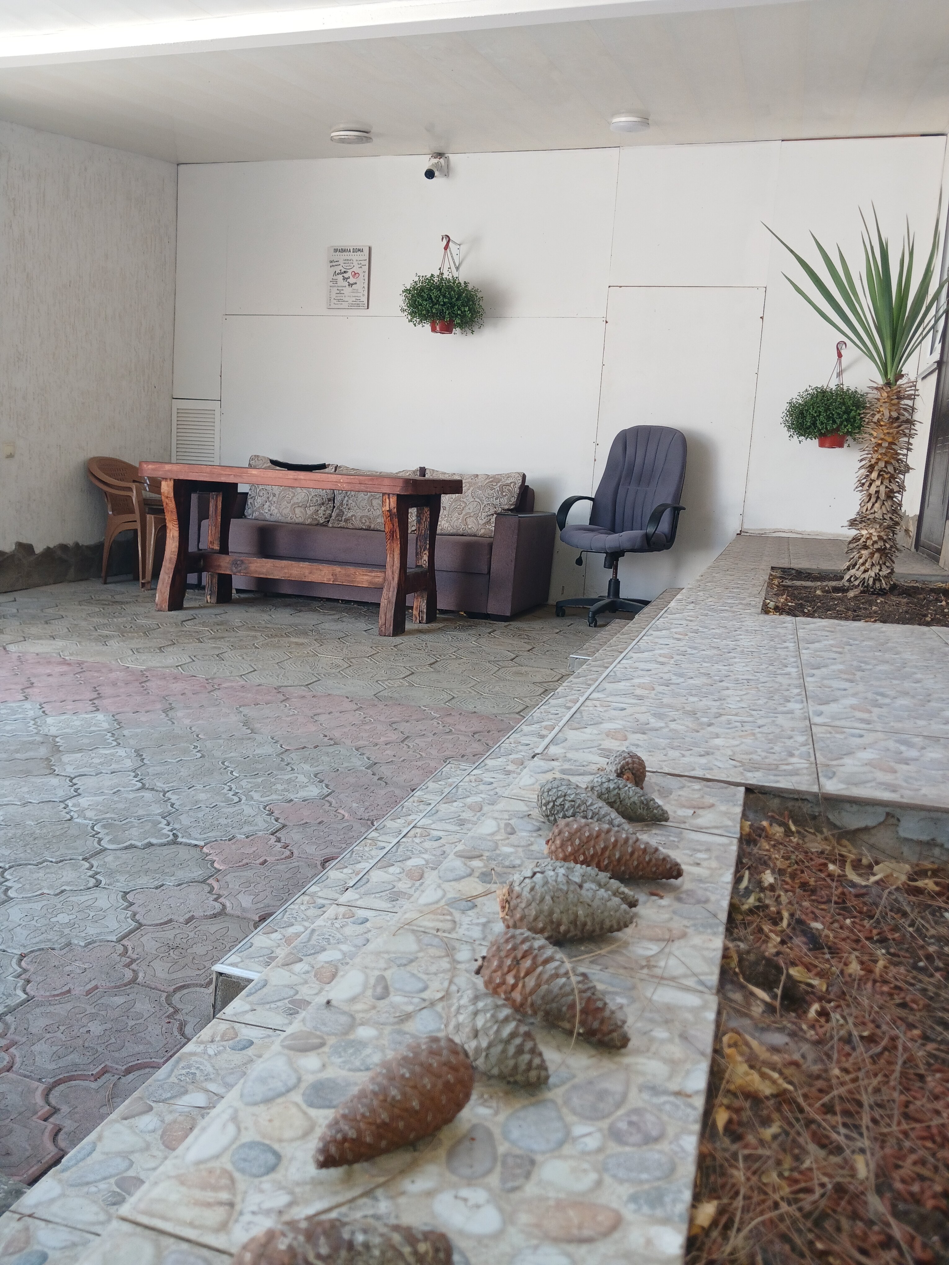 Фото Оливия