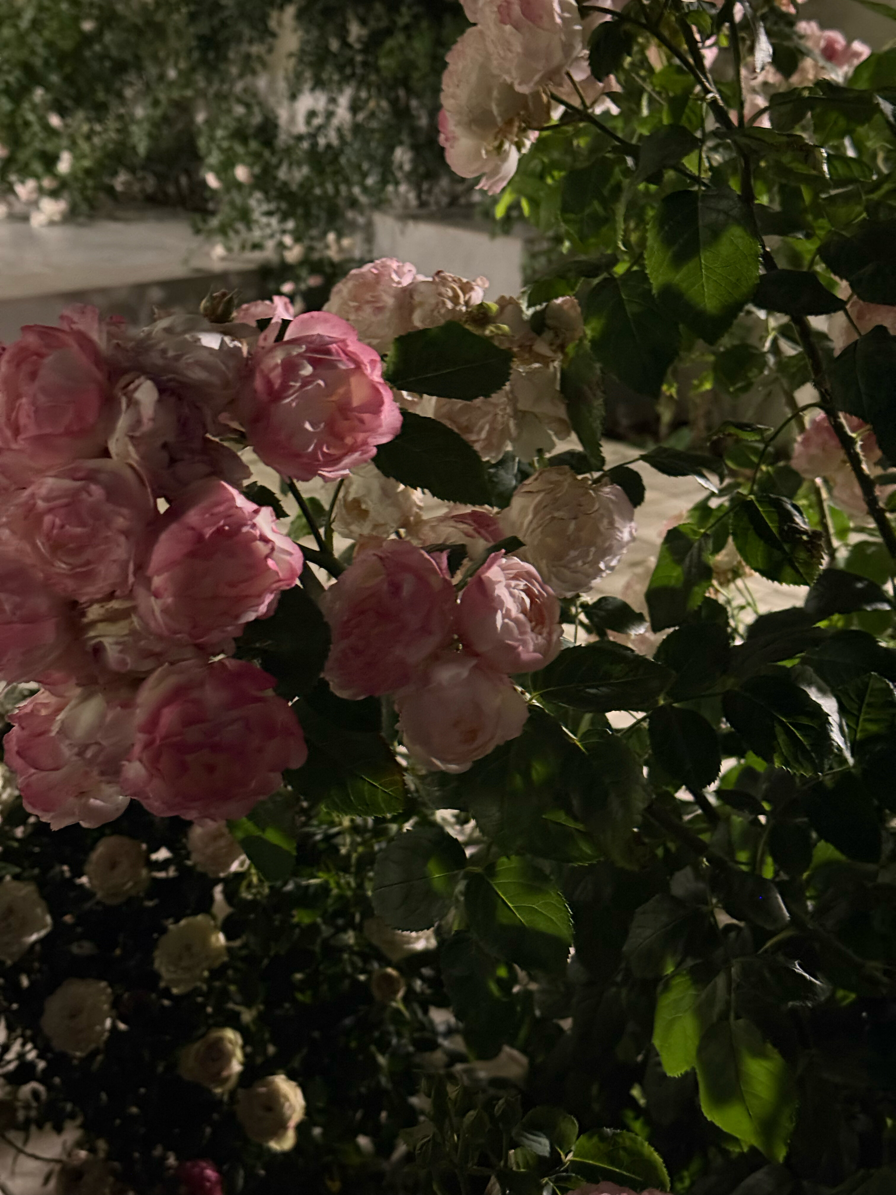 Фото Veronika Home Tbilisi