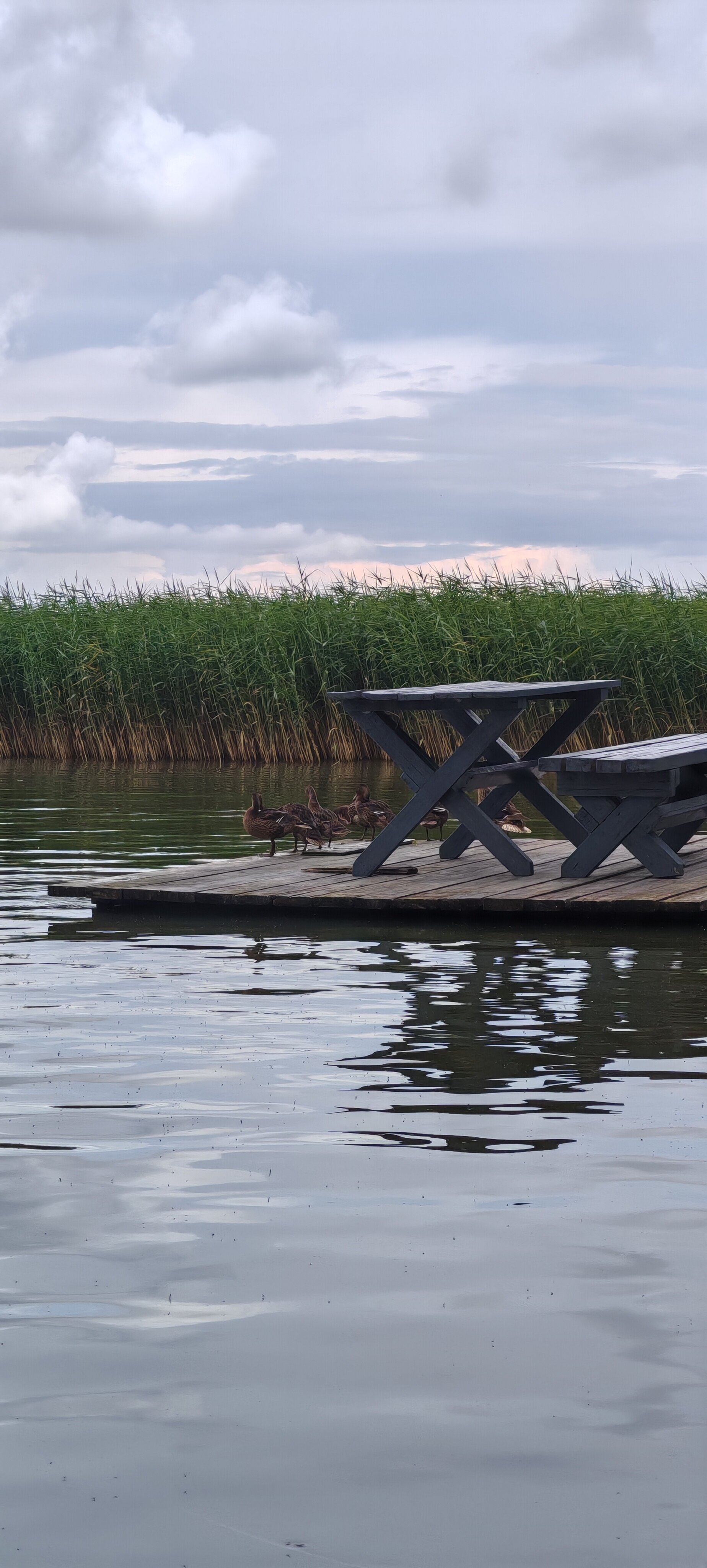 Фото BraslavLakes