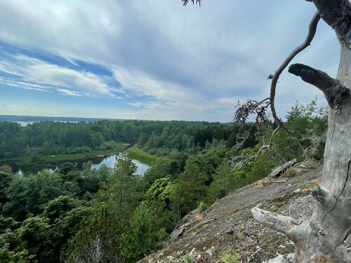 Орыс эстрадасының музыкалық порнографиясы