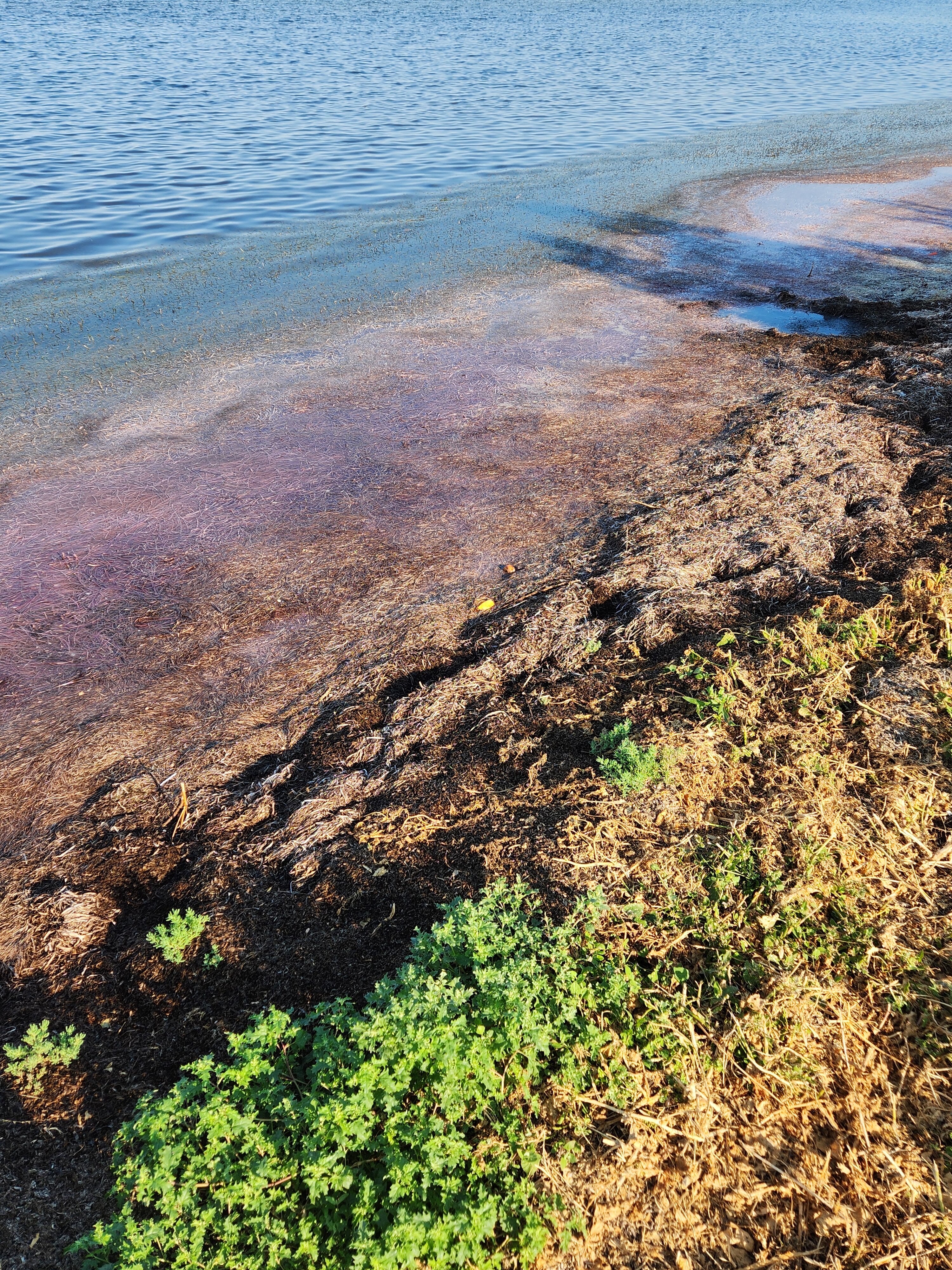 Фото Домики у Моря